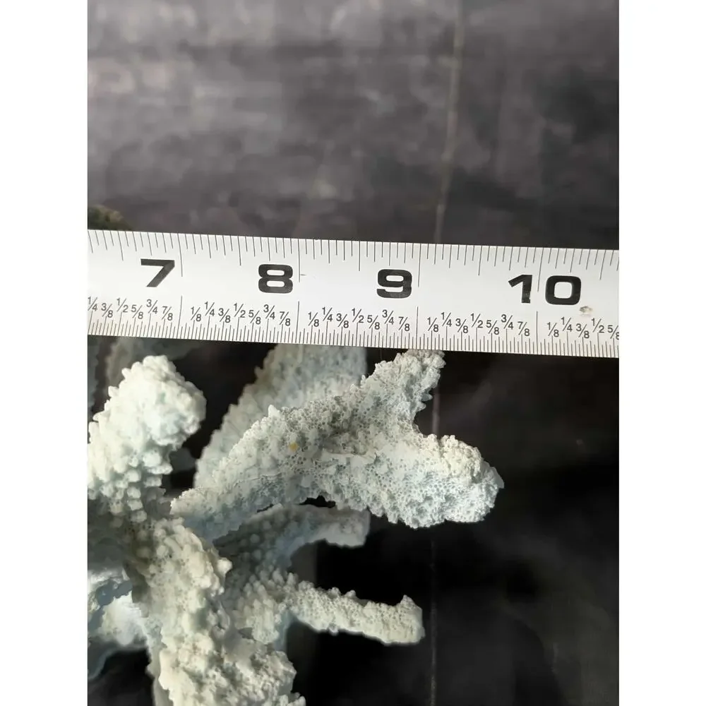 Nautical Coral Resin Art Statue Figurine Glass Bass Teal Large Staghorn Decor